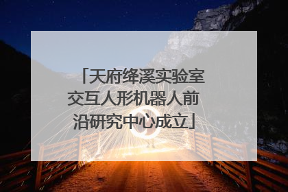 天府绛溪实验室交互人形机器人前沿研究中心成立