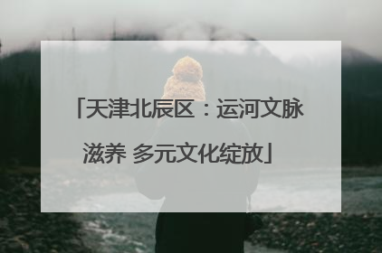 天津北辰区：运河文脉滋养 多元文化绽放