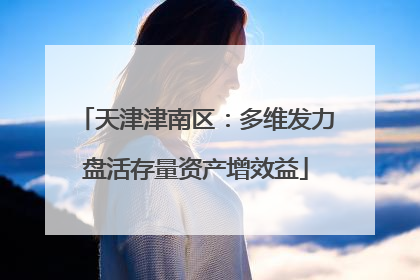 天津津南区：多维发力盘活存量资产增效益