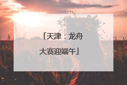 天津：龙舟大赛迎端午