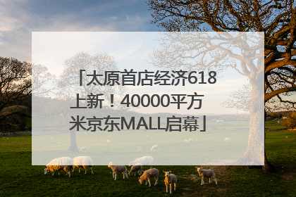 太原首店经济618上新！40000平方米京东MALL启幕