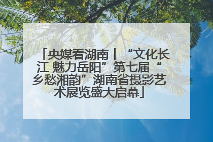 央媒看湖南丨“文化长江 魅力岳阳”第七届“乡愁湘韵”湖南省摄影艺术展览盛大启幕