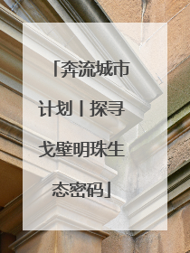 奔流城市计划丨探寻戈壁明珠生态密码
