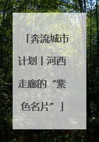 奔流城市计划丨河西走廊的“紫色名片”