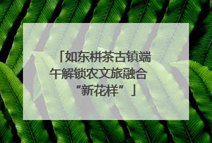 如东栟茶古镇端午解锁农文旅融合“新花样”