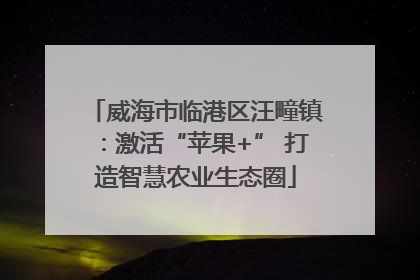 威海市临港区汪疃镇：激活“苹果+” 打造智慧农业生态圈