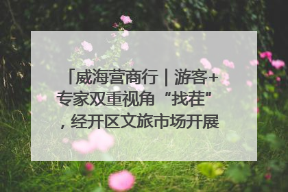 威海营商行｜游客+专家双重视角“找茬”，经开区文旅市场开展暑期前“体检”