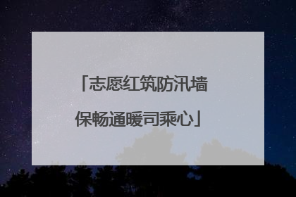 志愿红筑防汛墙 保畅通暖司乘心