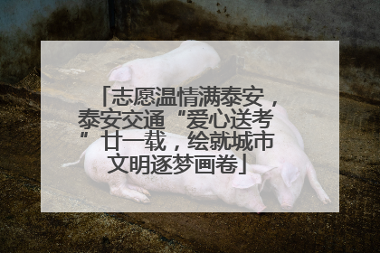 志愿温情满泰安，泰安交通“爱心送考”廿一载，绘就城市文明逐梦画卷