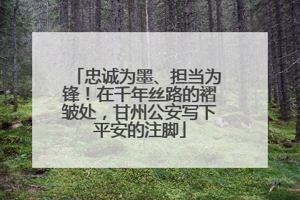 忠诚为墨、担当为锋！在千年丝路的褶皱处，甘州公安写下平安的注脚