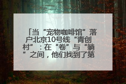 当“宠物咖啡馆”落户北京10号线“青创村”：在“卷”与“躺”之间，他们找到了第三种生活公式