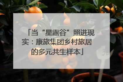 当“星露谷”照进现实：康旅集团乡村旅居的多元共生样本