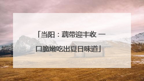 当阳：藕带迎丰收 一口脆嫩吃出夏日味道