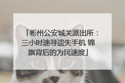 彬州公安城关派出所：三小时速寻遗失手机 锦旗背后的为民速度