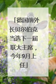 德国前外长贝尔伯克当选下一届联大主席，今年9月上任
