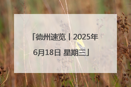 德州速览丨2025年6月18日 星期三