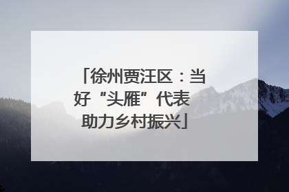 徐州贾汪区：当好“头雁”代表 助力乡村振兴