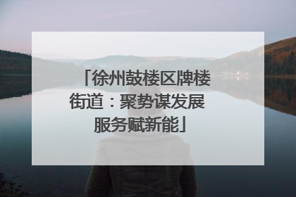徐州鼓楼区牌楼街道：聚势谋发展 服务赋新能