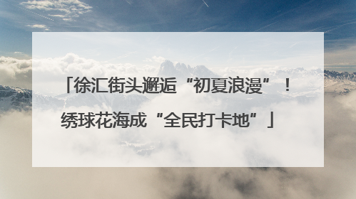 徐汇街头邂逅“初夏浪漫”！绣球花海成“全民打卡地”