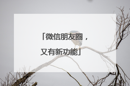 微信朋友圈，又有新功能