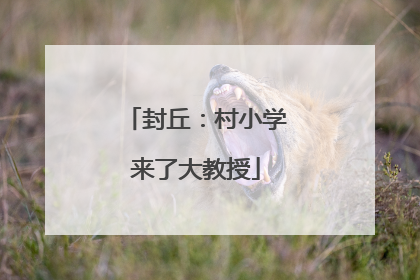 封丘：村小学来了大教授