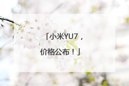 小米YU7，价格公布！