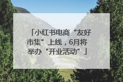 小红书电商“友好市集”上线，6月将举办“开业活动”
