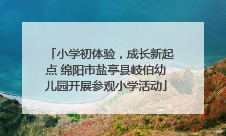 小学初体验，成长新起点 绵阳市盐亭县岐伯幼儿园开展参观小学活动
