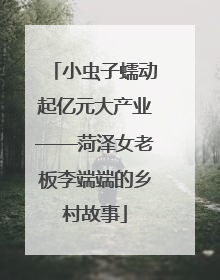 小虫子蠕动起亿元大产业——菏泽女老板李端端的乡村故事