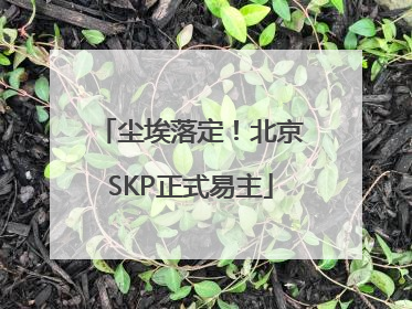 尘埃落定！北京SKP正式易主
