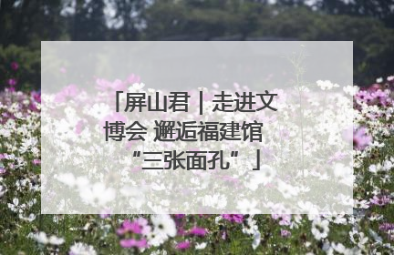 屏山君｜走进文博会 邂逅福建馆“三张面孔”