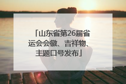 山东省第26届省运会会徽、吉祥物、主题口号发布