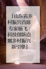山东省乡村振兴首席专家杨飞：科技创新点燃乡村振兴新引擎