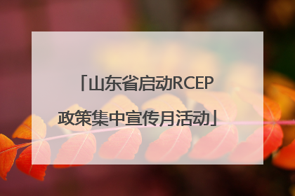 山东省启动RCEP政策集中宣传月活动