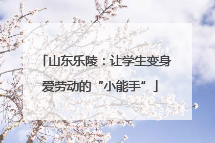 山东乐陵：让学生变身爱劳动的“小能手”