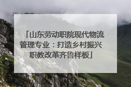山东劳动职院现代物流管理专业：打造乡村振兴职教改革齐鲁样板