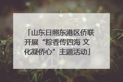 山东日照东港区侨联开展“粽香传四海 文化凝侨心”主题活动