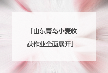 山东青岛小麦收获作业全面展开