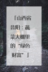 山西省昔阳：蔬菜大棚里的“绿色财富”