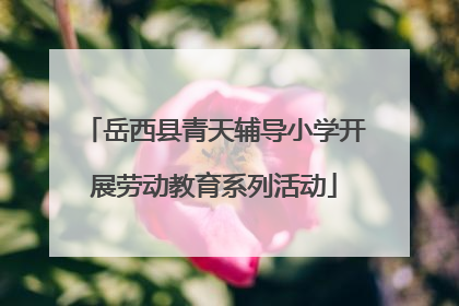 岳西县青天辅导小学开展劳动教育系列活动