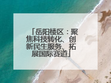 岳阳楼区：聚焦科技转化、创新民生服务、拓展国际赛道
