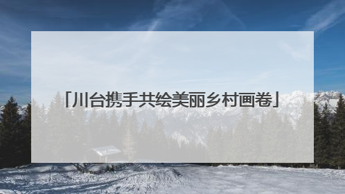 川台携手共绘美丽乡村画卷