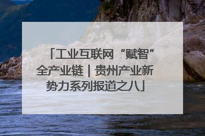工业互联网“赋智”全产业链｜贵州产业新势力系列报道之八