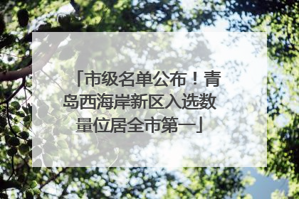 市级名单公布！青岛西海岸新区入选数量位居全市第一