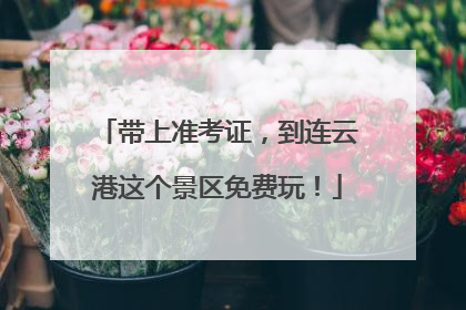 带上准考证，到连云港这个景区免费玩！