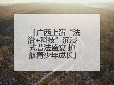 广西上演“法治+科技”沉浸式普法盛宴 护航青少年成长