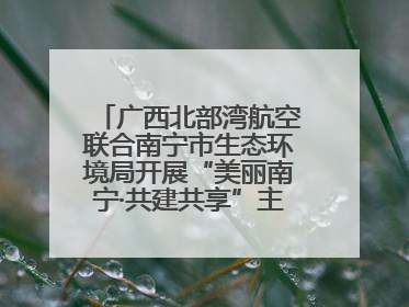 广西北部湾航空联合南宁市生态环境局开展“美丽南宁·共建共享”主题航班活动