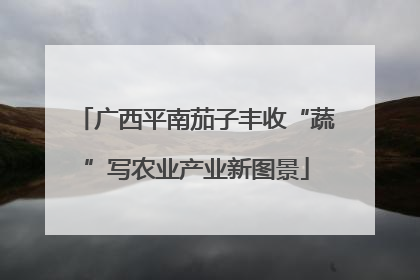 广西平南茄子丰收“蔬”写农业产业新图景