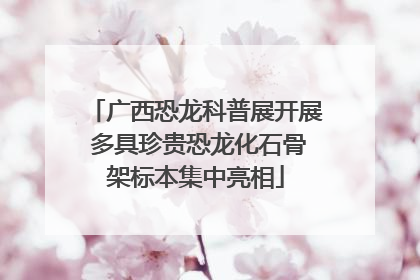 广西恐龙科普展开展 多具珍贵恐龙化石骨架标本集中亮相