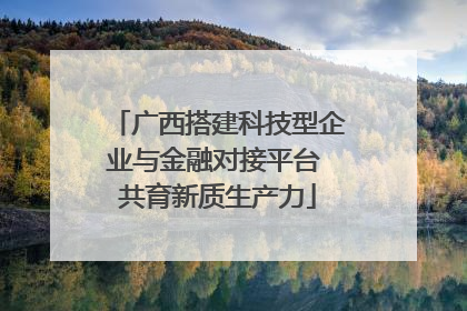广西搭建科技型企业与金融对接平台 共育新质生产力